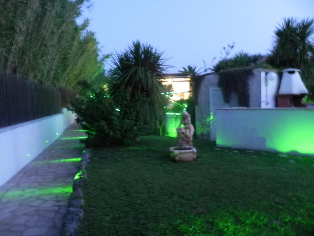 Belvedere